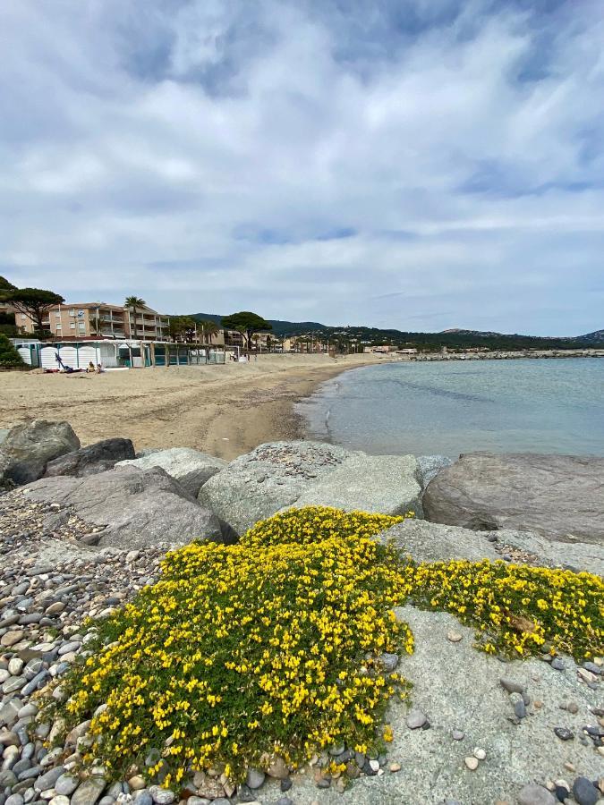 Studio 150 M De Plage Golfe De Saint-Tropez Cavalaire-sur-Mer Kültér fotó